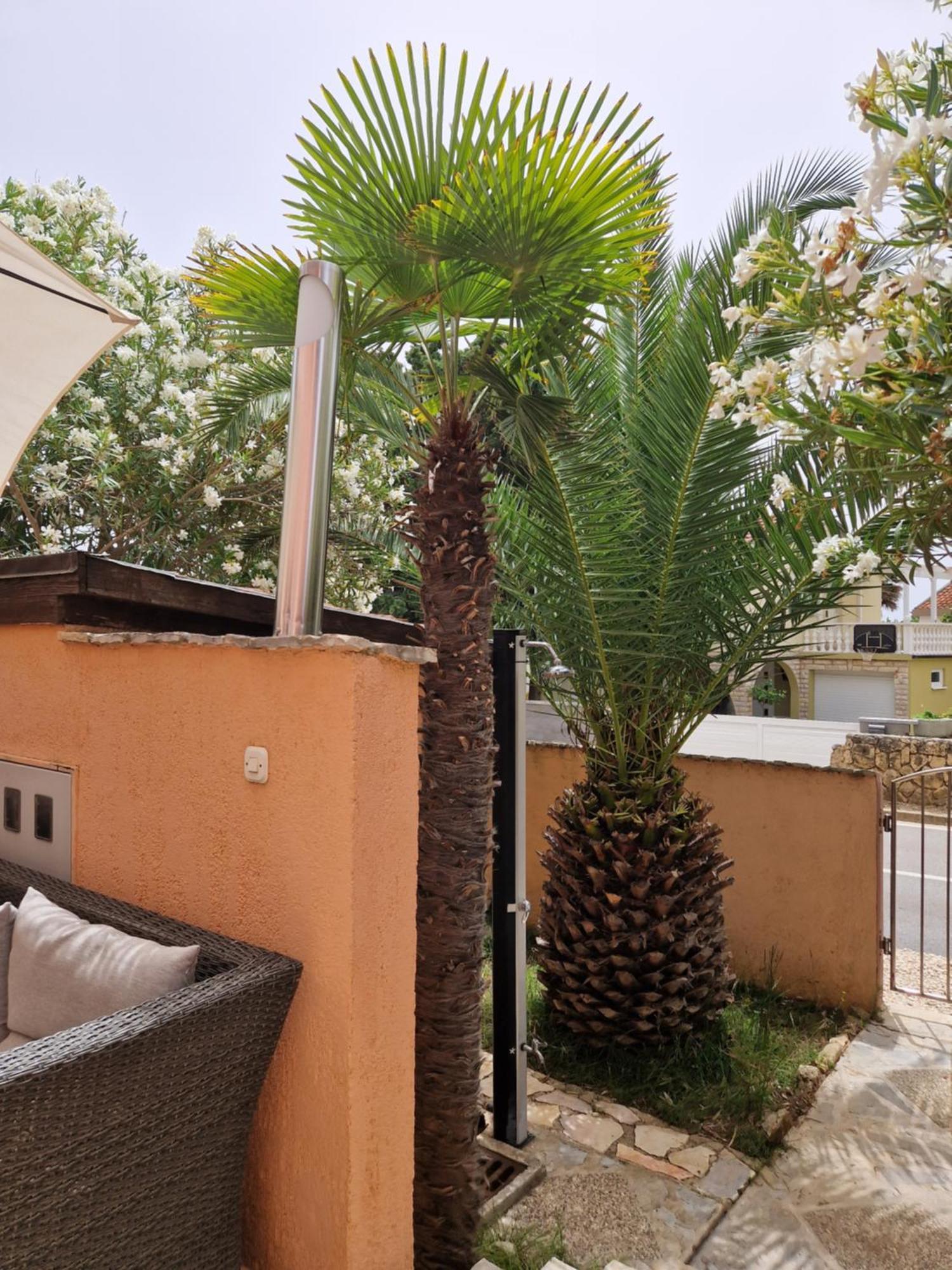 Aurelia Apartments, Vir Camera foto