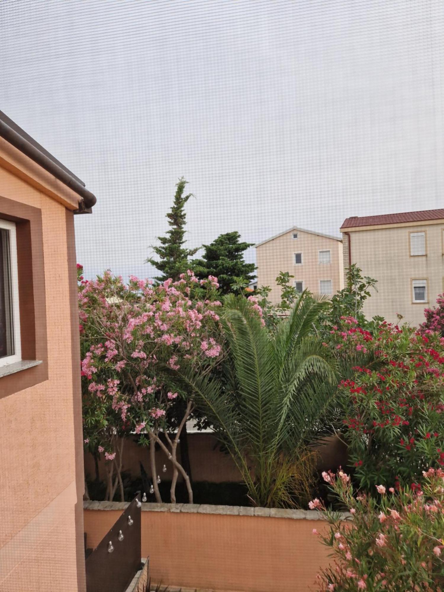Aurelia Apartments, Vir Esterno foto